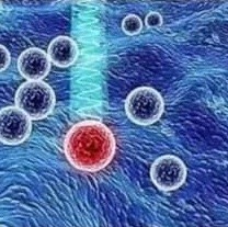 1. Eliminasi sel-sel yang tidak sehat