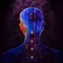 4. Membersihkan Meridian dan Lympahtic