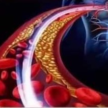 5. Meningkatkan mikro-sirkulasi darah
