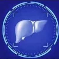 6. Mengatur sistem kelenjar tubuh